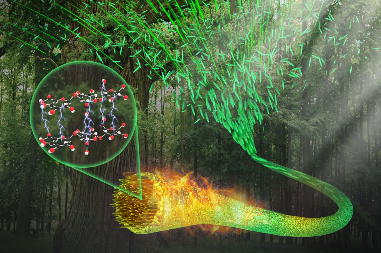 Functionalization of Nano Cellulose Materials